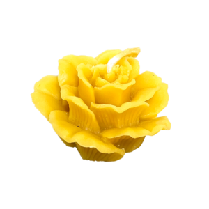 Bougie – Fleur